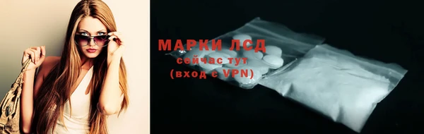 индика Шали