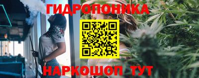 трава Чебаркуль